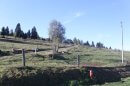 Vue depuis Muckenbach